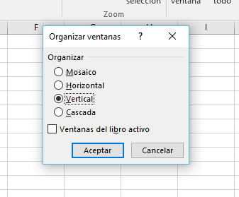 Excel_OrganizarTodo